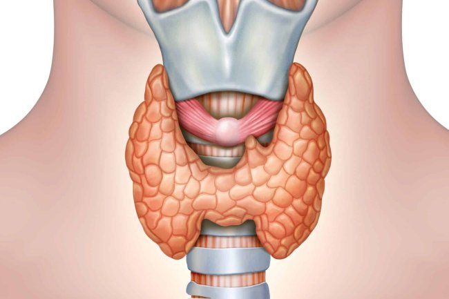Thyroid Disorder